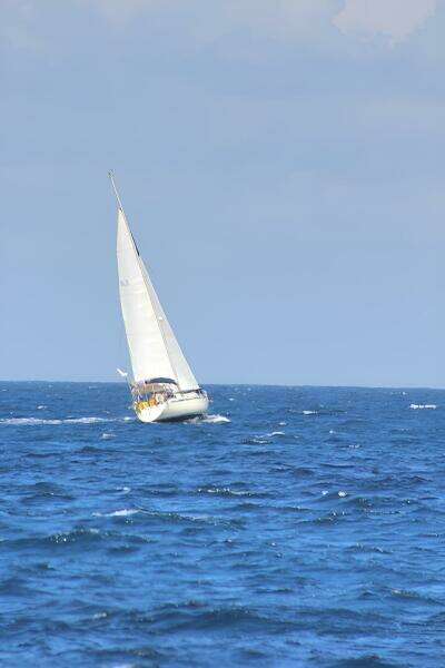 KAHU 41ft Sigma Yacht For Sale