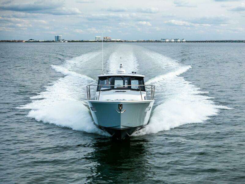 MJM 42 2025 - Profile