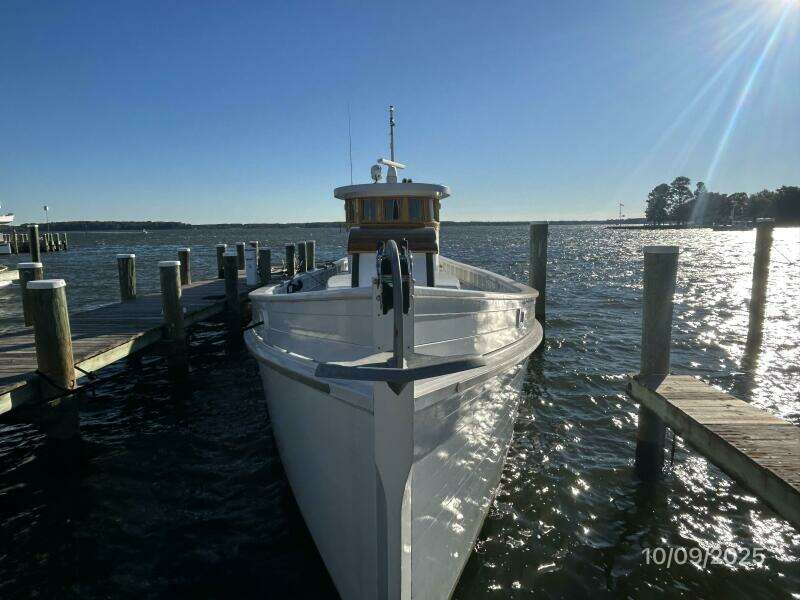 Choptank forward profile