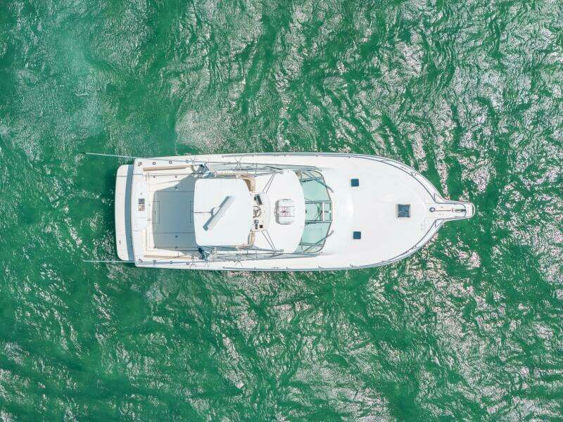 38ft Rampage Yacht For Sale 38ft Rampage Yacht For Sale