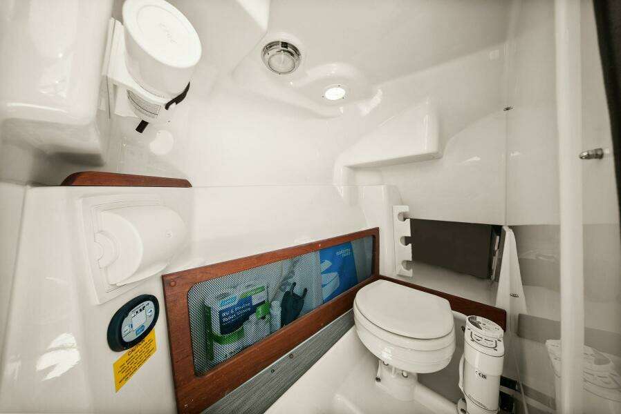 Grady White 275 Freedom 2025 - Head