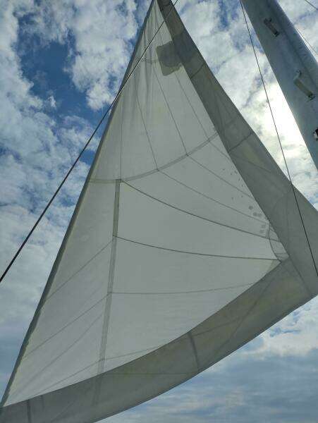 Star Gazer 43ft Irwin Yacht For Sale
