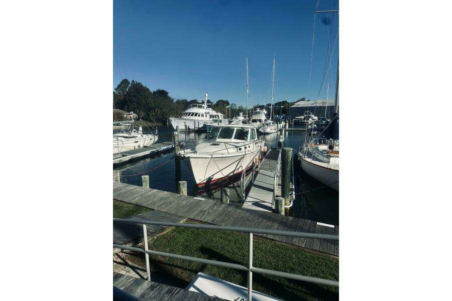 Check In 37ft Back Cove Yacht For Sale