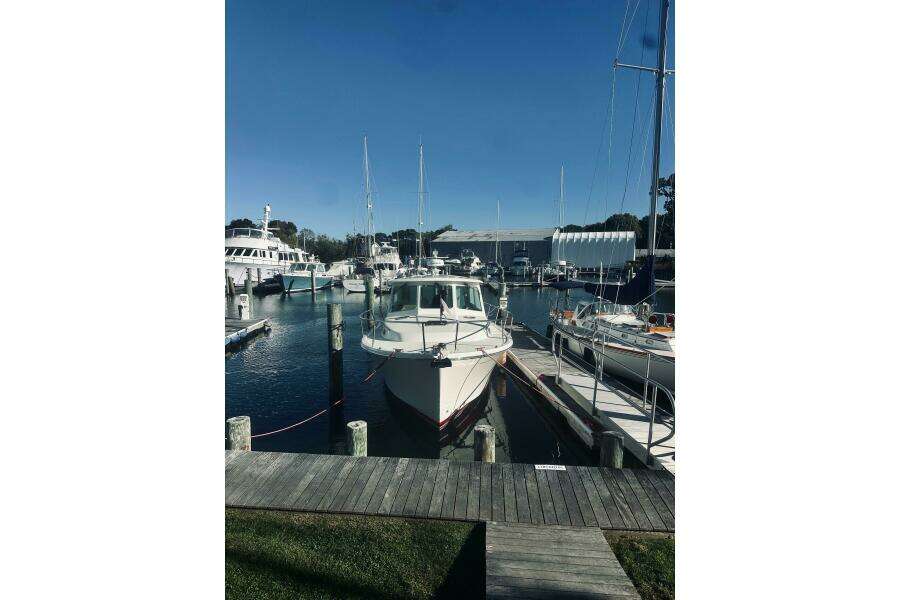 Check In 37ft Back Cove Yacht For Sale
