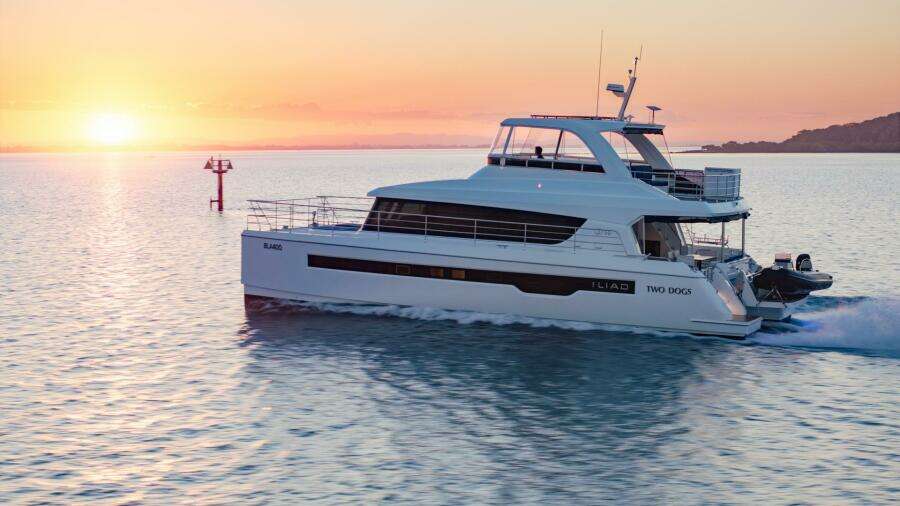 Two Dogs 50ft ILIAD Catamarans Yacht For Sale