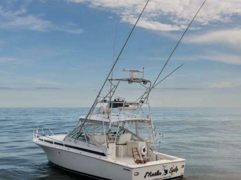 Marlin Spike 35ft Bertram Yacht For Sale