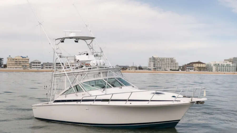 Marlin Spike 35ft Bertram Yacht For Sale