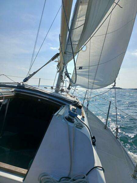 Seven Sinners 30ft Ericson Yacht For Sale