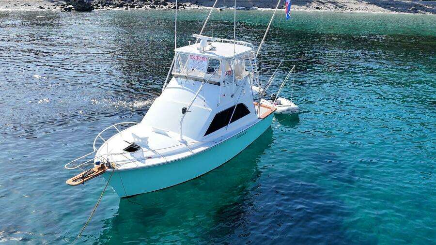 1986 Ocean 38 Super Sport - AQUA MA'AM