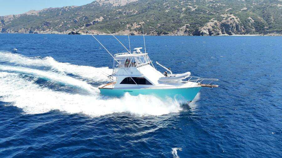 1986 Ocean 38 Super Sport - AQUA MA'AM