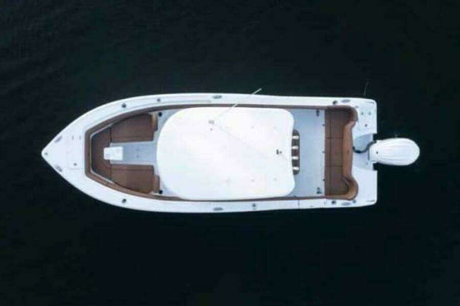 25ft Sea Hunt Yacht For Sale