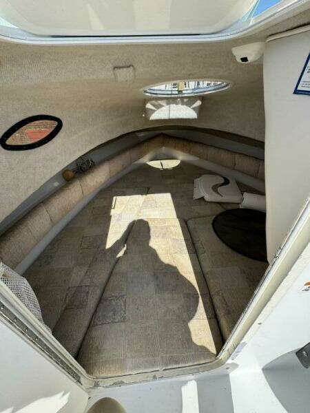 Spoiled 21ft Seaswirl Yacht For Sale