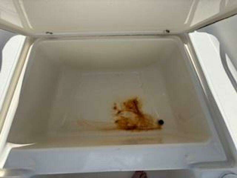 17ft Scout Yacht For Sale