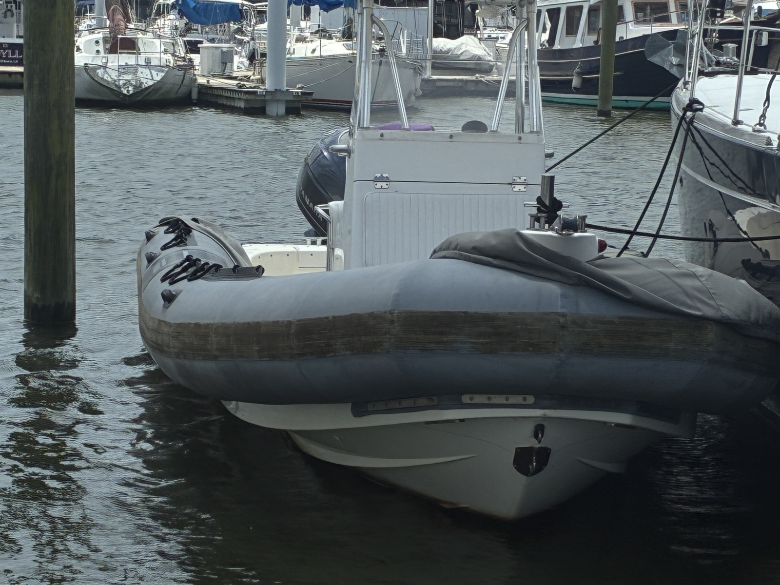 2008 Zodiac Pro 20 Man - Engine