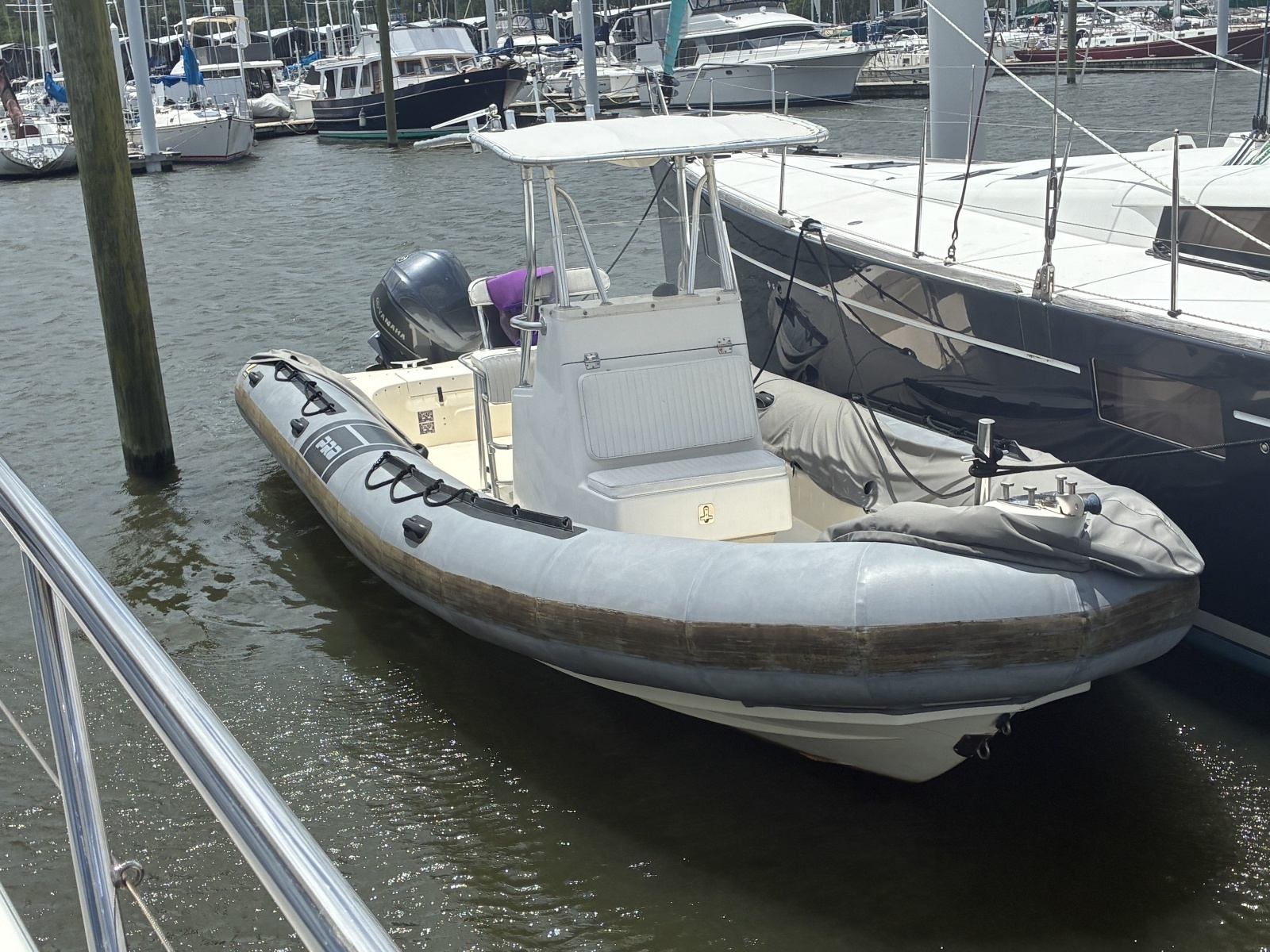 2008 Zodiac Pro 20 Man - Engine