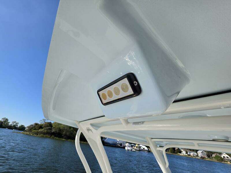 25ft World Cat Yacht For Sale