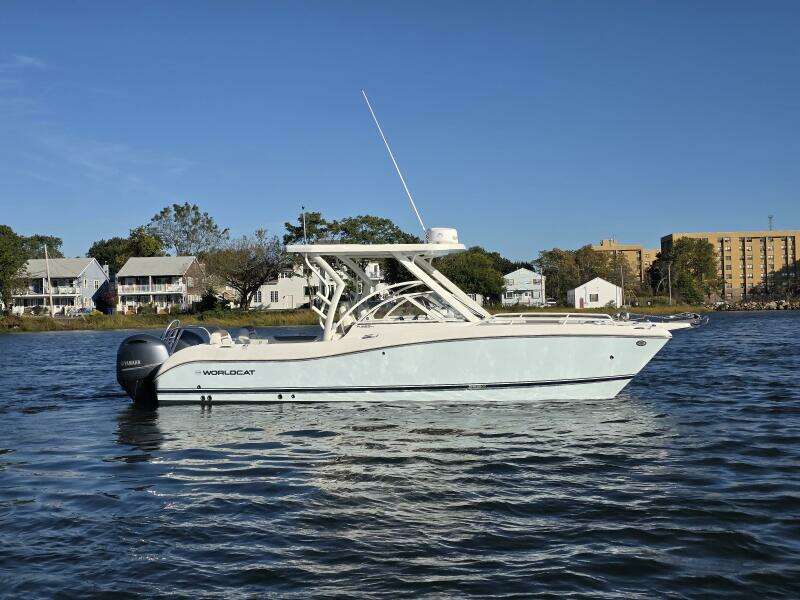 25ft World Cat Yacht For Sale