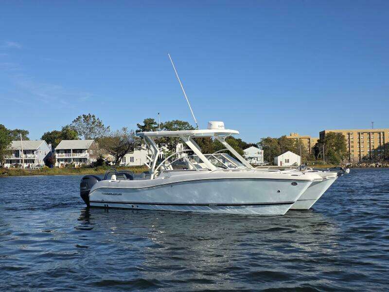 25ft World Cat Yacht For Sale