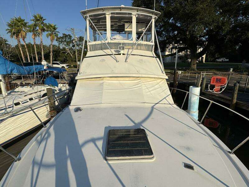 38ft Bertram Yacht For Sale