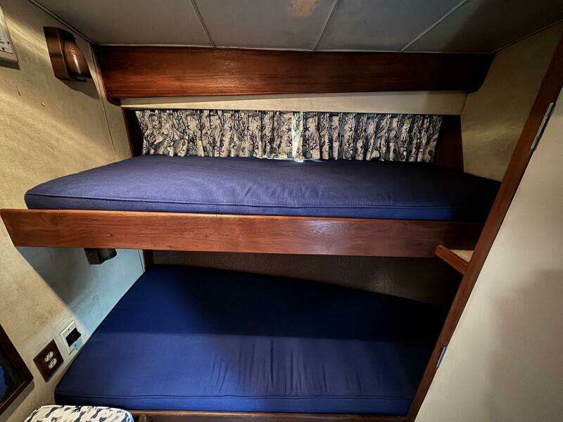 38ft Bertram Yacht For Sale