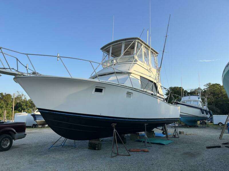 38ft Bertram Yacht For Sale