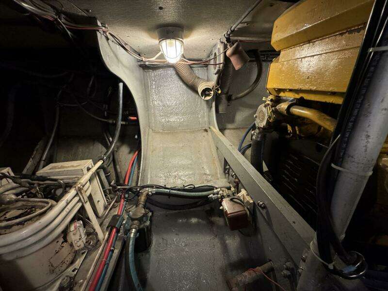 38ft Bertram Yacht For Sale