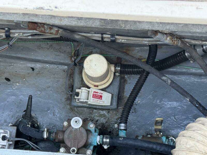 38ft Bertram Yacht For Sale