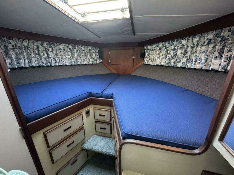 38ft Bertram Yacht For Sale