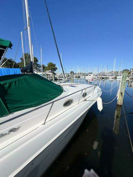 KNOT AT WORK 34ft Sea Ray Yacht For Sale