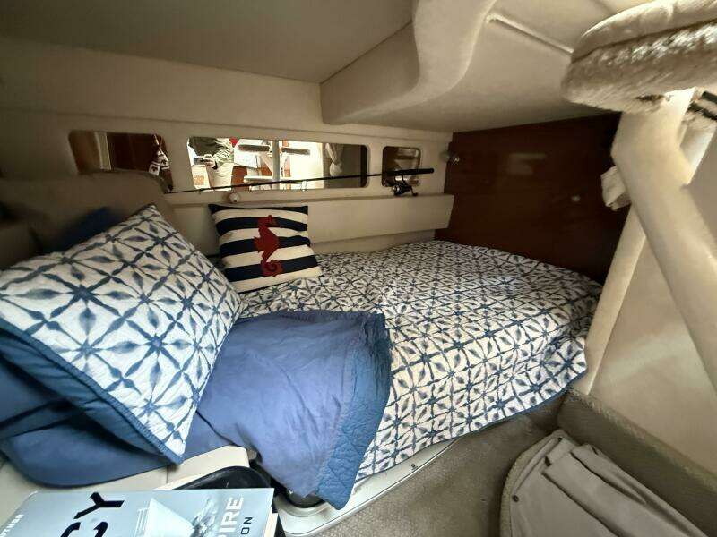 31ft Sea Ray Yacht For Sale