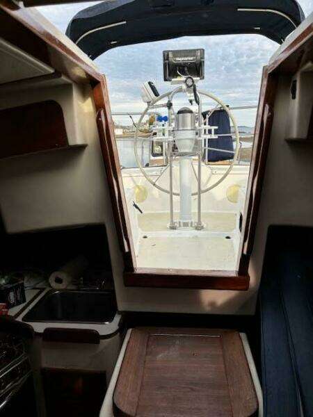 31ft Tartan Yacht For Sale