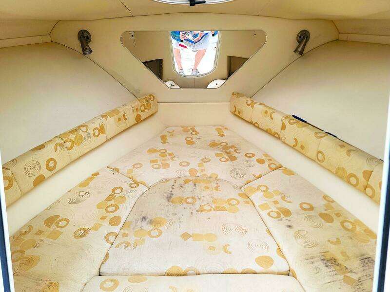 30ft Wellcraft Yacht For Sale