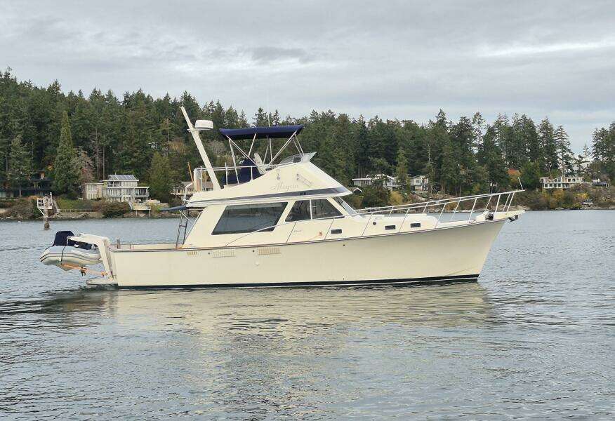 37ft Tollycraft Yacht For Sale