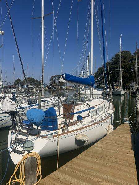 Bay Lark 34ft Sabre Yacht For Sale