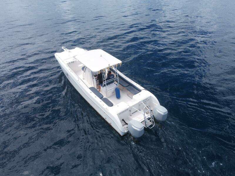 Voyager 33ft World Cat Yacht For Sale