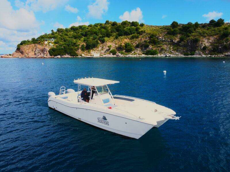 Voyager 33ft World Cat Yacht For Sale