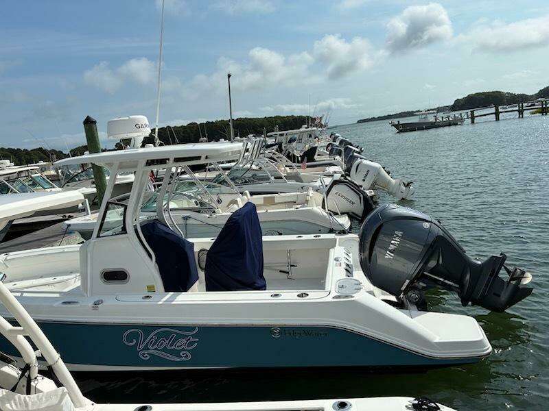 Violet 23ft Edgewater Yacht For Sale