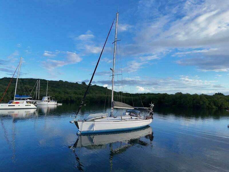 Veritas 50ft Bavaria Yacht For Sale