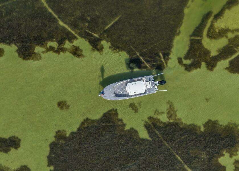 25ft Haynie Yacht For Sale