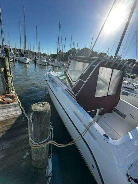 Dorisea 32ft Chaparral Yacht For Sale