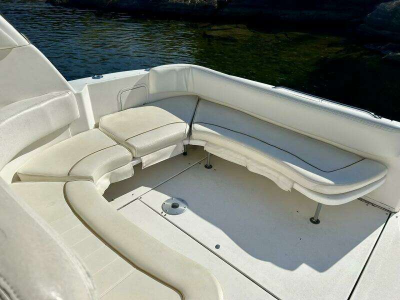 31ft Sea Ray Yacht For Sale