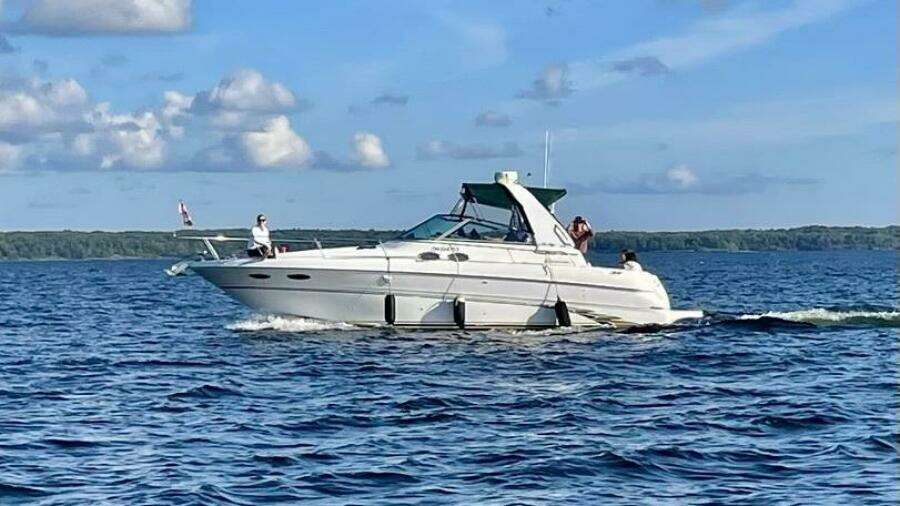 31ft Sea Ray Yacht For Sale