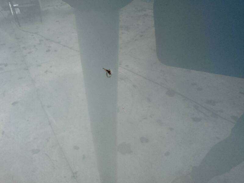 28ft Cobia Yacht For Sale