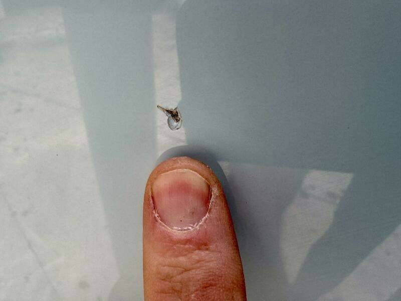 28ft Cobia Yacht For Sale