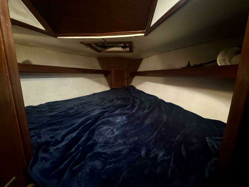 38ft Morgan Yacht For Sale