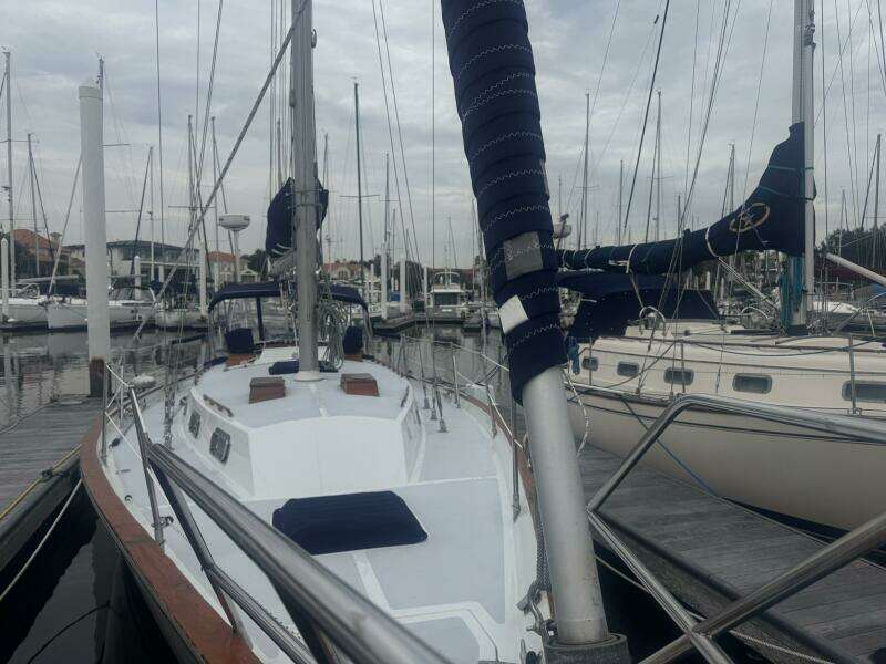 38ft Morgan Yacht For Sale
