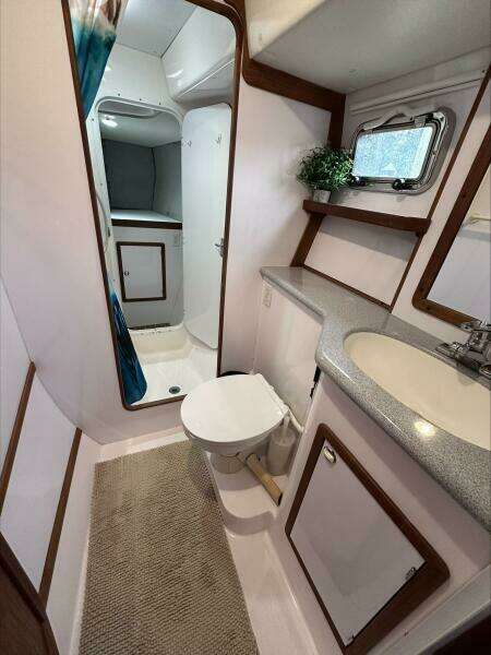 Prost 36ft Endeavour Catamaran Yacht For Sale