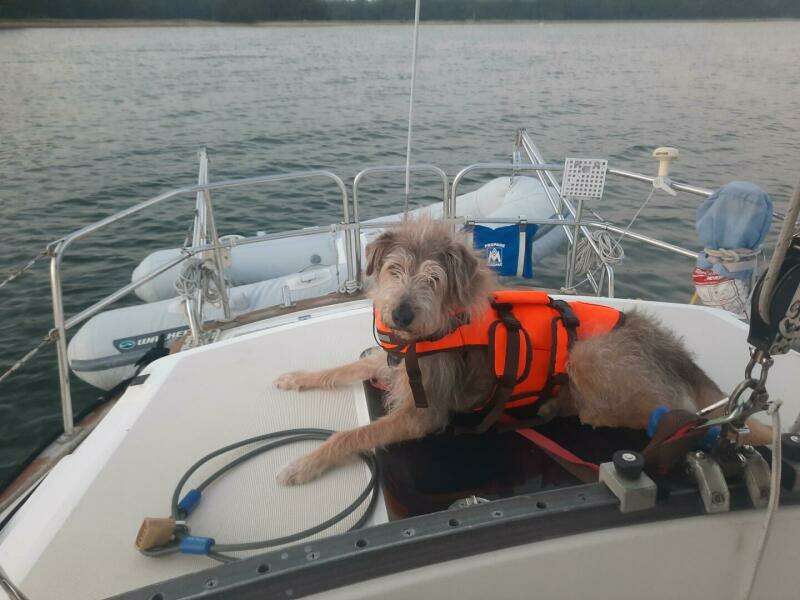 36ft S2 Yacht For Sale