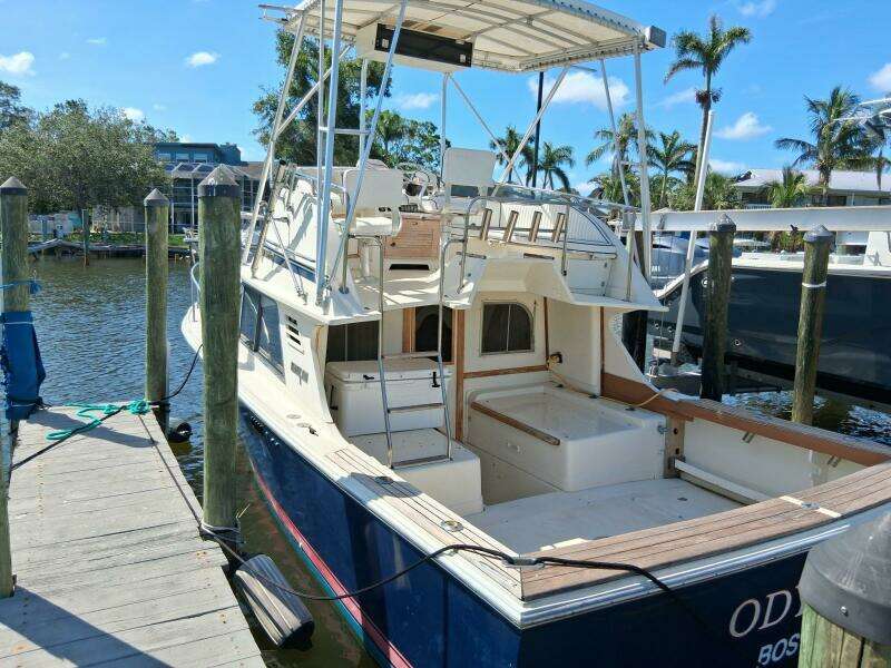 Odyssea 29ft Blackfin Yacht For Sale