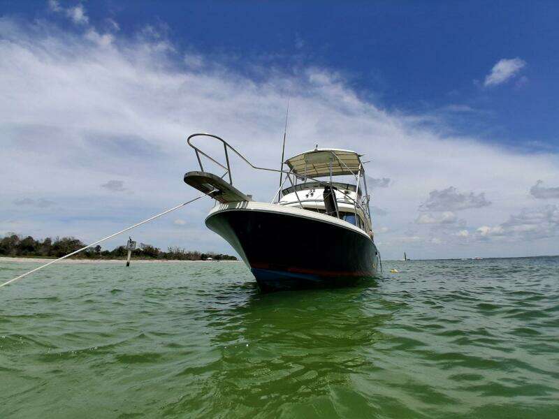 Odyssea 29ft Blackfin Yacht For Sale